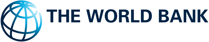 International Partner