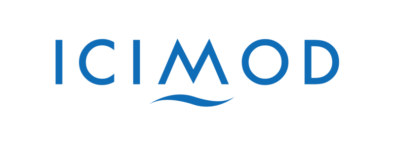 International Partner