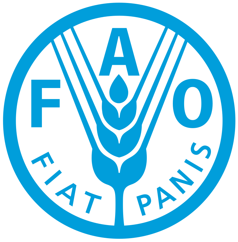 International Partner