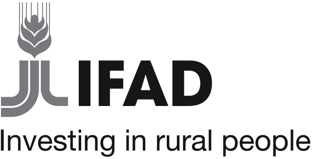 International Partner