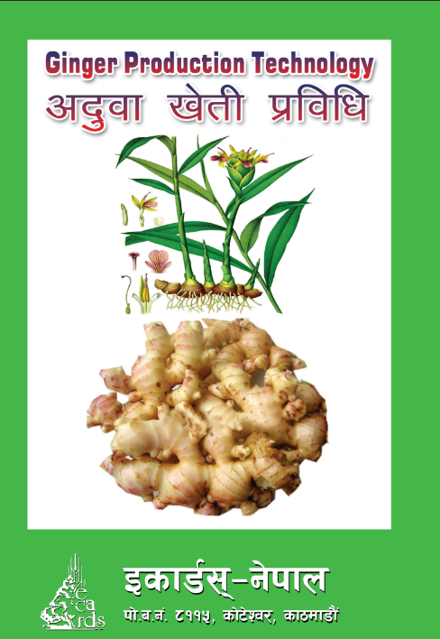 Ginger Production Technology