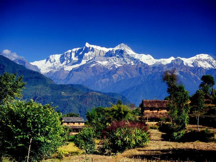 Conservation Farming and Agroforestry Practices in Okhaldhunga and Khotang